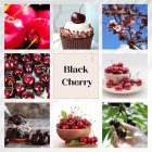 Black Cherry Flower diffuser