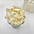 Cranberry, Orange, Cinnamon Flower diffuser