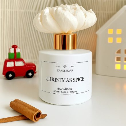 Christmas Spice diffuer