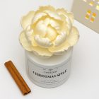 Christmas Spice diffuer