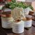 Fall in Love Flower diffuser