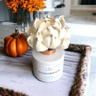 Roasted Chestnuts flower diffuser