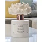 Spice Kiss diffuser